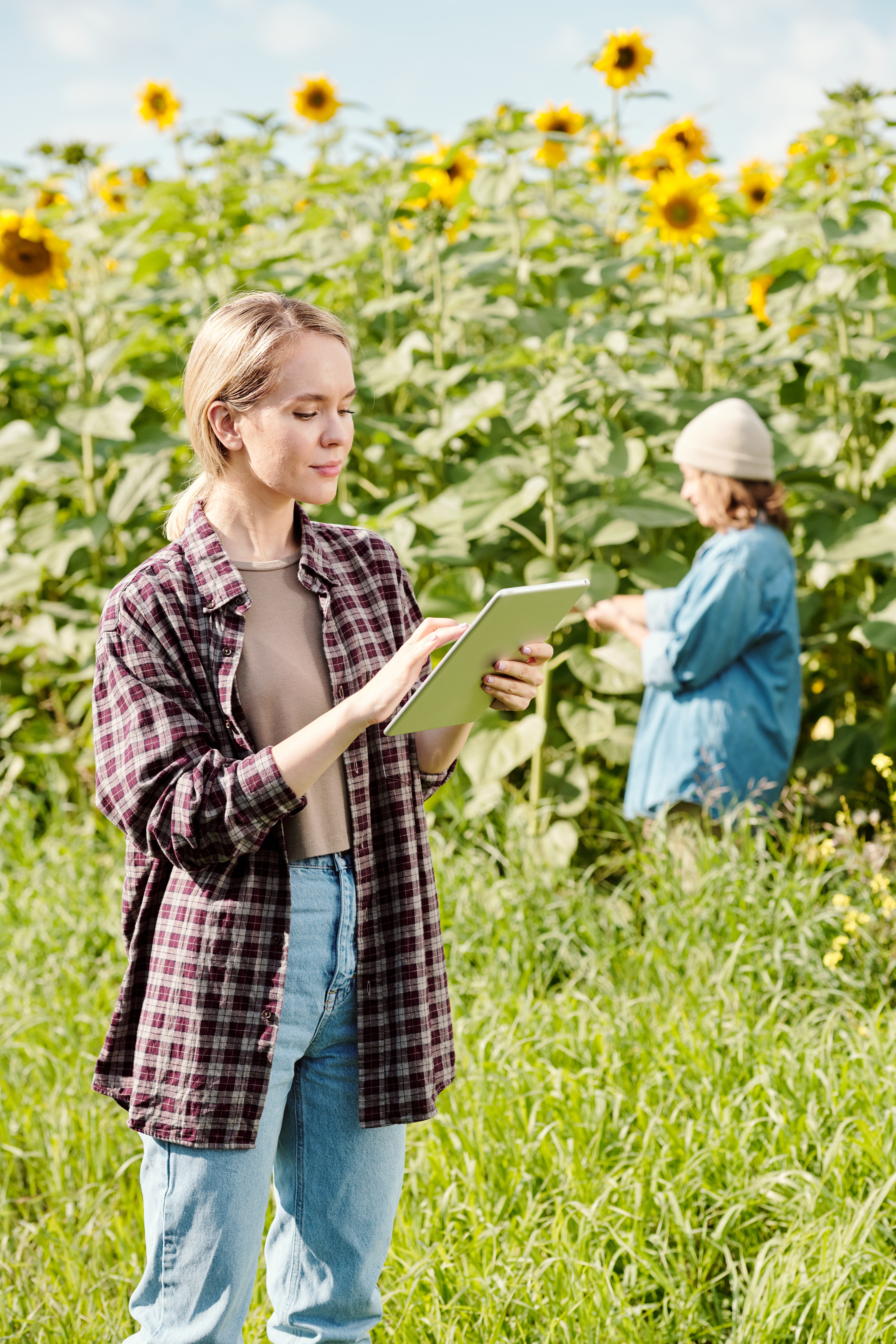 agriculture connectée