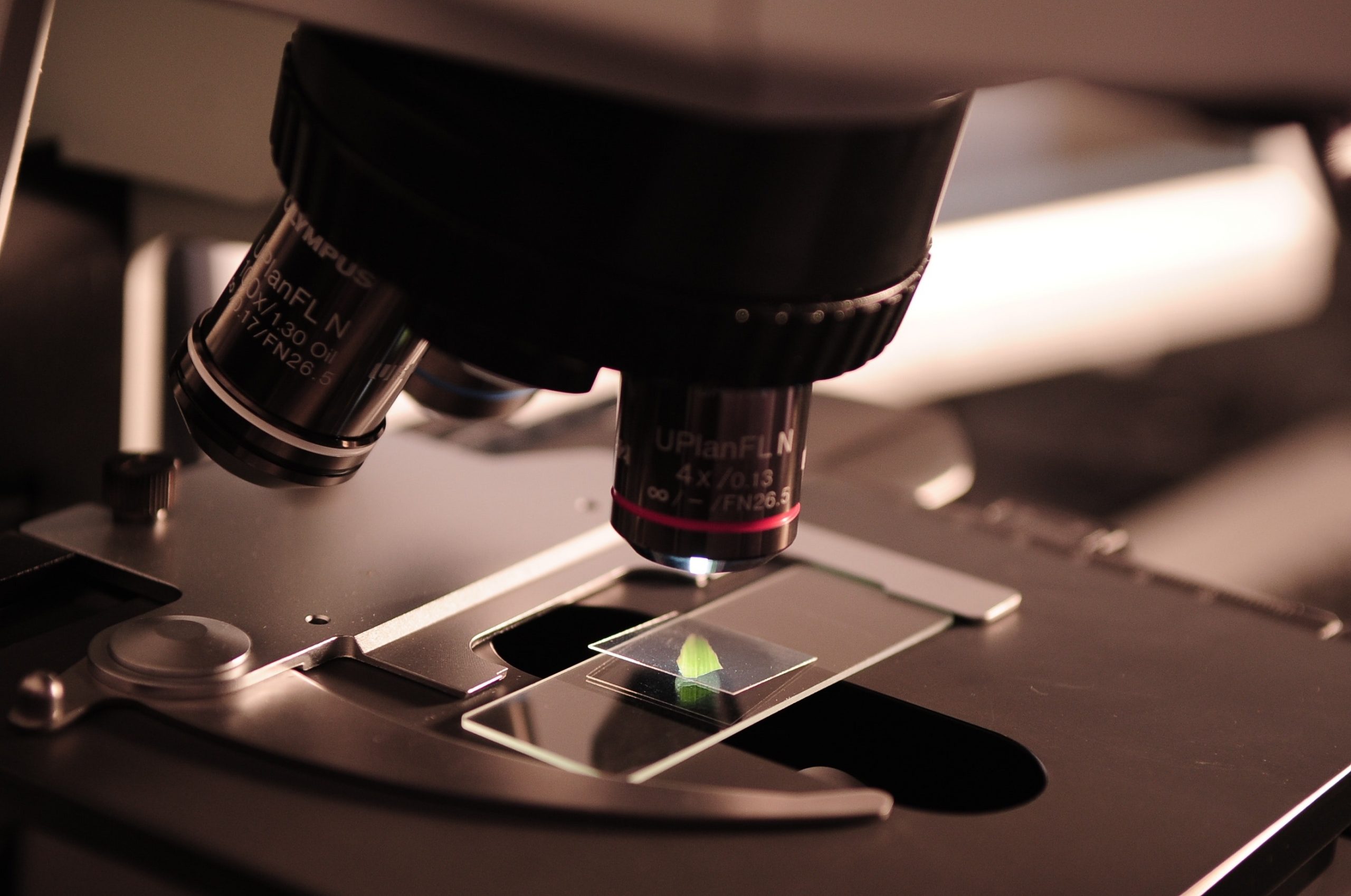 recrutement R&D en Europe agroalimentaire