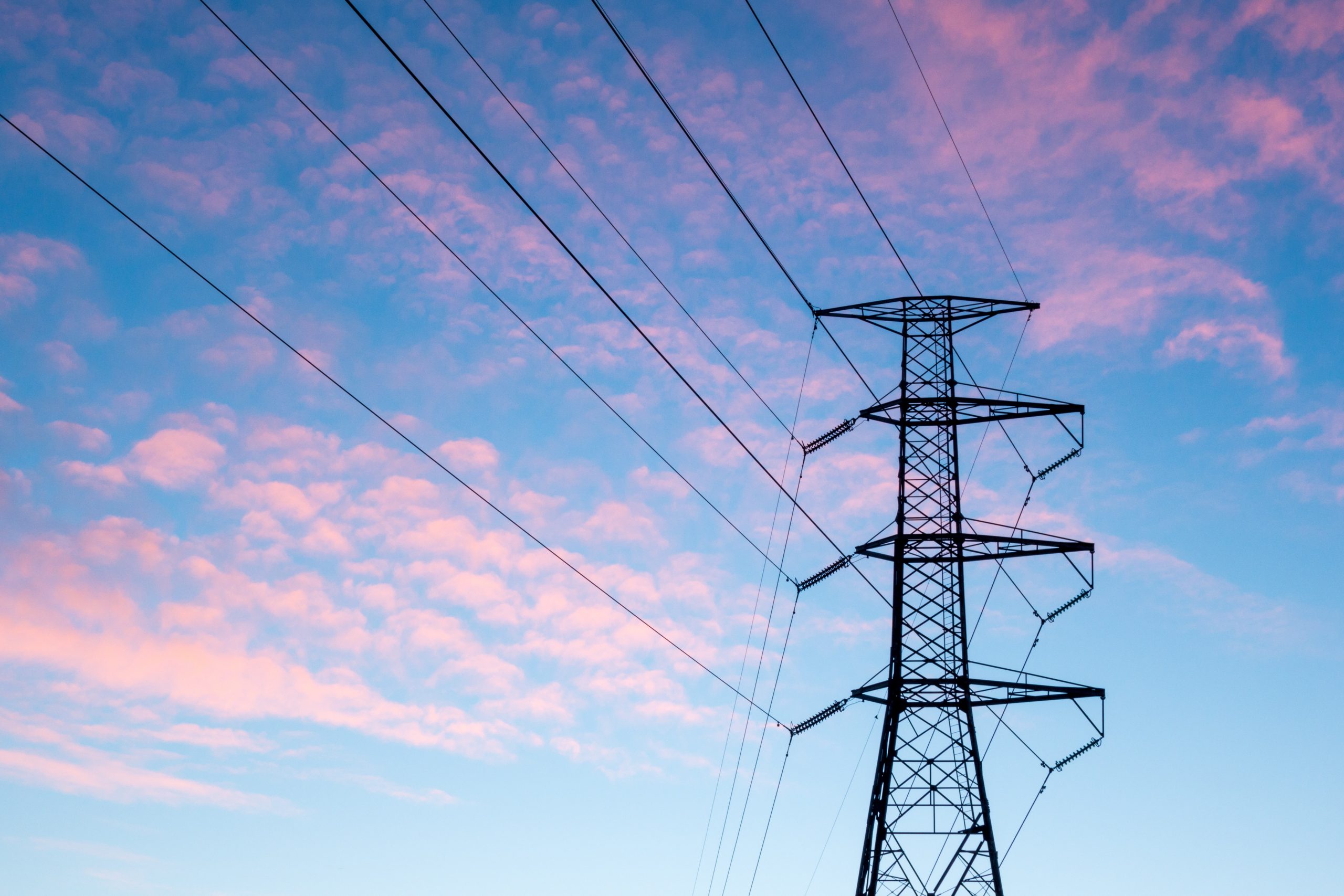 Management de transition résilience énergétique crise énergétique agroalimentaire