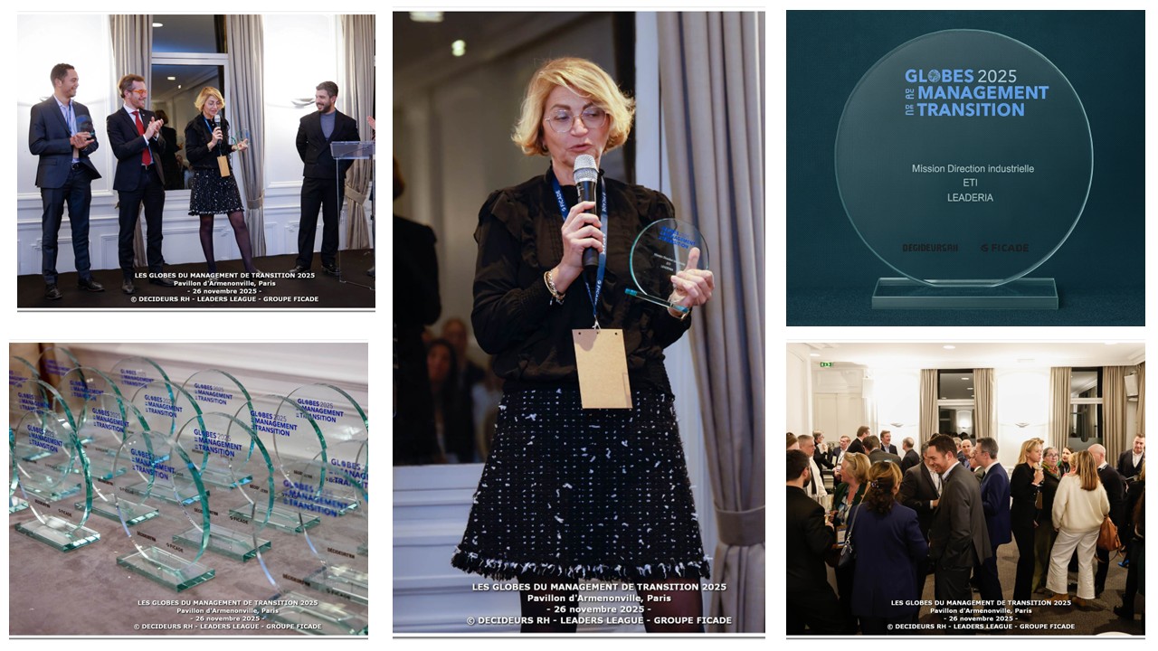 comment fonctionne le management de transition